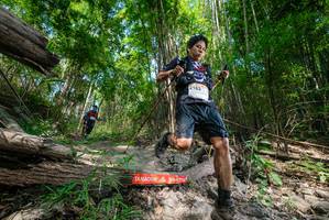 BIB: 
                            <button type="button" onclick="openModal(19390954)" class="btn btn-primary btn-sm float-right btn-popup" data-toggle="modal" data-target=".modal-high-quality">
                        <i class="fas fa-shopping-cart"></i> Add to Cart
                    </button>
                                            <button type="button" onclick="isThisMe(19390954, true)" class="btn btn-success btn-sm float-right btn-popup btn-isme hidden" data-toggle="tooltip" data-placement="bottom" title="นี่คือรูปของคุณใช่ไหม คลิกที่นี่เพื่อเอาเข้าอัลบั้ม">
                        <i class="fas fa-plus"></i> Add to album
                    </button>
                    <button type="button" onclick="isThisMe(19390954, false)" class="btn btn-warning btn-sm float-right btn-popup btn-isnotme hidden">
                        <i class="fas fa-ban"></i> Remove from album
                    </button>